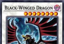 Black-Winged Dragon