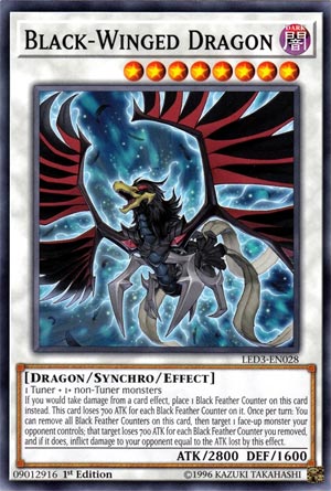 Black-Winged Dragon