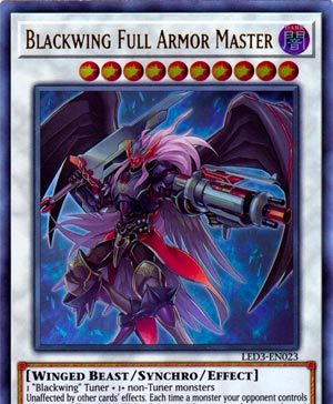 Blackwing Full Armor Master
