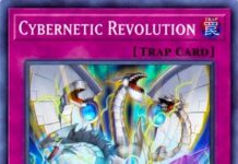 Cybernetic Revolution