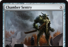 Chamber Sentry