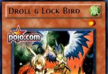 Droll & Lock Bird
