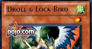 Droll & Lock Bird