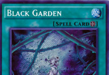 Black Garden