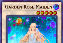Garden Rose Maiden