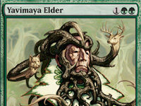 Yavimaya Elder