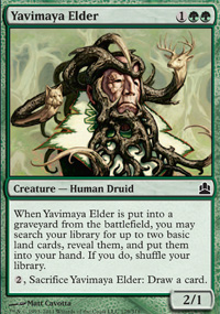 Yavimaya Elder  