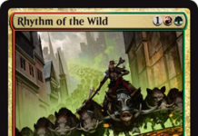 Rhythm of the Wild