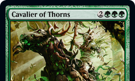 Cavalier of Thorns