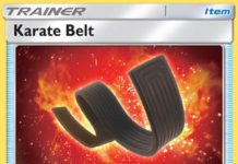 Karate Belt