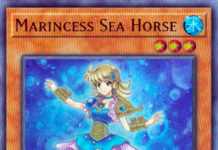 Marincess Sea Horse