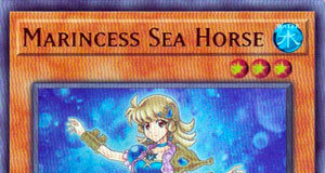 Marincess Sea Horse