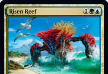 Risen Reef