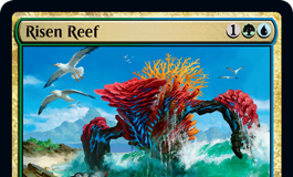 Risen Reef