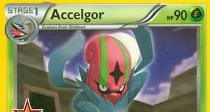 Accelgor