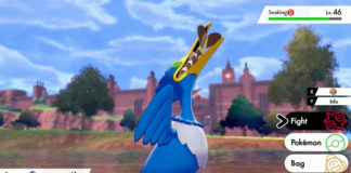 Cramorant Category: Gulp Pokémon