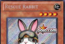 Rescue Rabbit