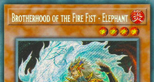 Brotherhood of the Fire Fist - Elephant