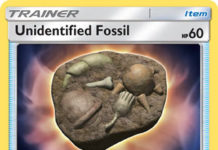 Unidentified Fossil