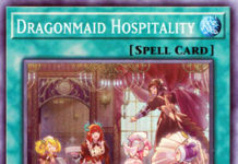 Dragonmaid Hospitality