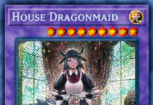 House Dragonmaid