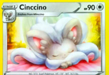 Cinccino