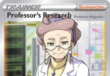 Professor’s Research