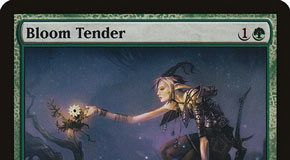 Bloom Tender