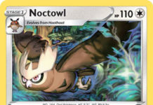 Noctowl