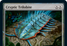 Cryptic Trilobite