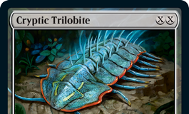 Cryptic Trilobite