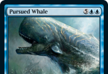 Pursued Whale