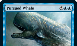 Pursued Whale