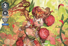 Ranunculus Flower Maiden, Ahsha