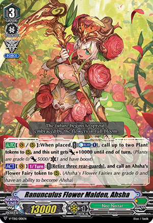 Ranunculus Flower Maiden, Ahsha