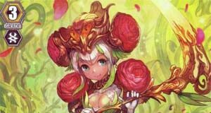 Ranunculus Flower Maiden, Ahsha