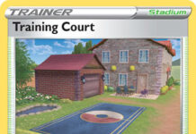 Training Court