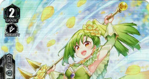 Osmanthus Maiden, Anelma
