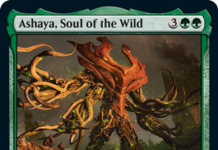 Ashaya, Soul of the Wild