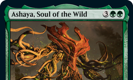 Ashaya, Soul of the Wild