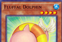 Fluffal Dolphin