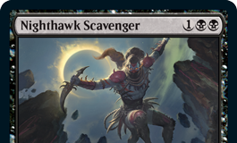 Nighthawk Scavenger