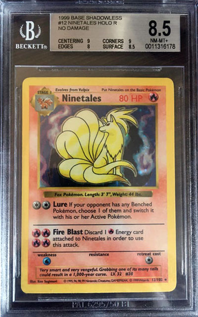 BGS Nintetales Error Card