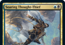 Soaring Thought-Thief