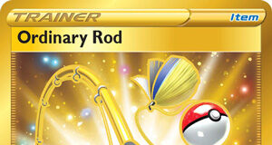 Ordinary Rod