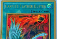 Harpie's Feather Duster