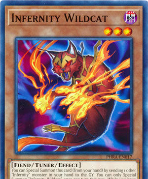 Infernity Wildcat