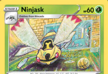 Ninjask