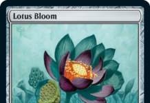 Lotus Bloom