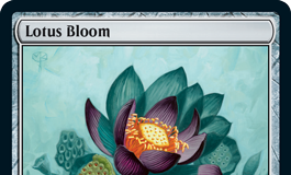 Lotus Bloom